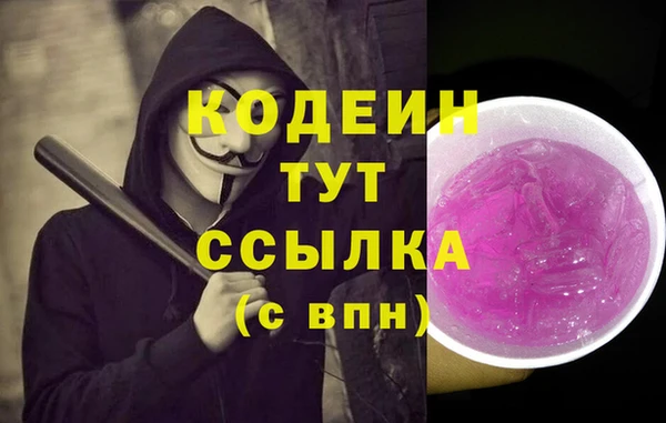 соль ск Нея