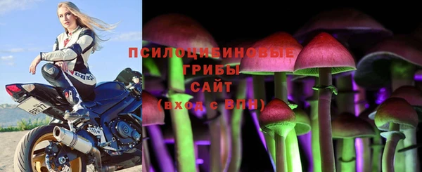 MDMA Premium VHQ Новодвинск
