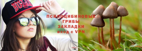сатива Нефтегорск