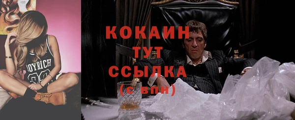 скорость Новозыбков