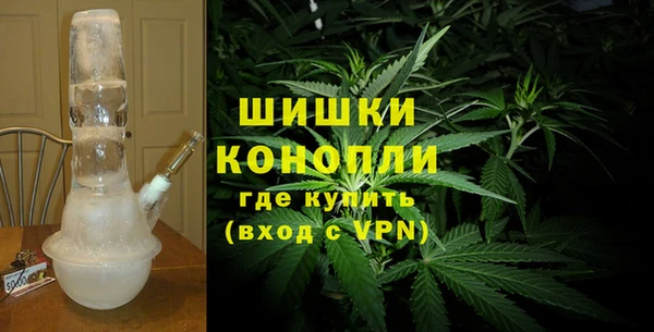 соль ск Нея