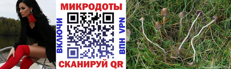 Псилоцибиновые грибы GOLDEN TEACHER Кувшиново